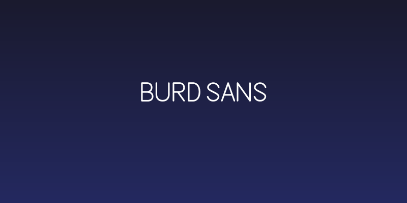 Burd Sans Social Header