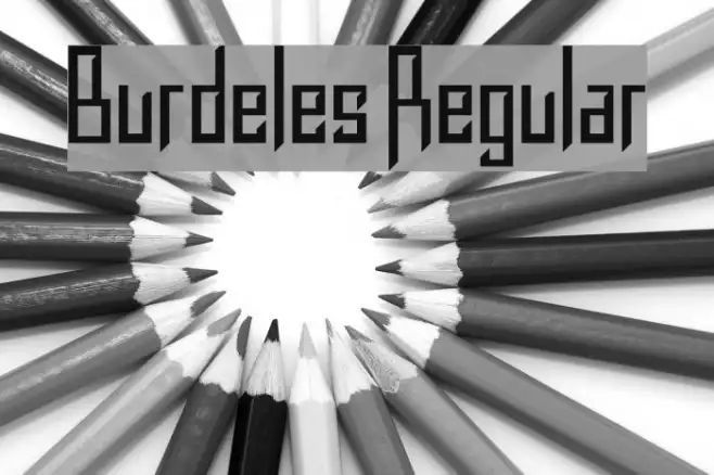 Burdeles Regular Example 2
