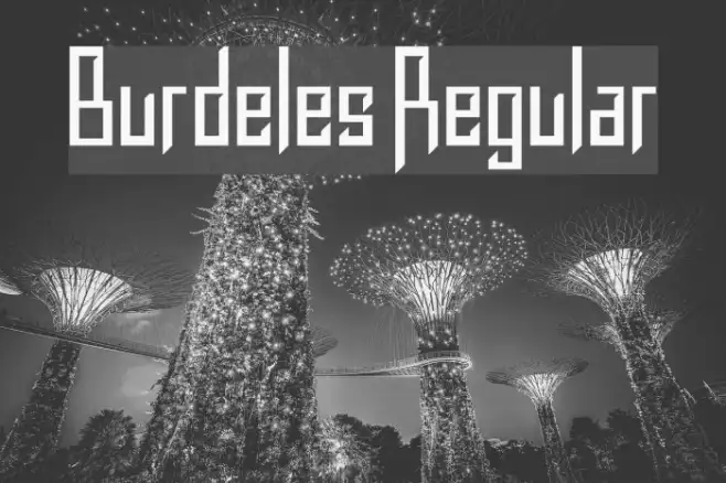 Burdeles Regular Example 3