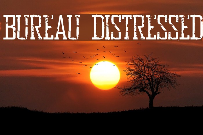 Bureau Distressed Font examples