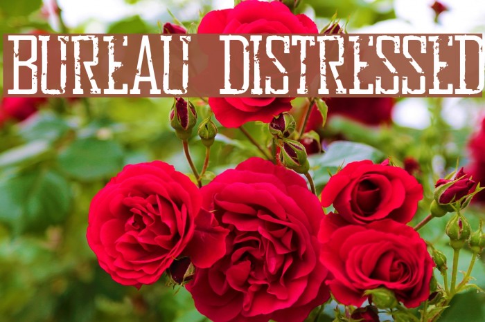 Bureau Distressed Font examples
