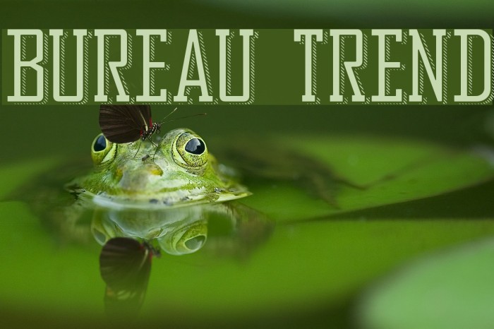 Bureau Trend Font examples