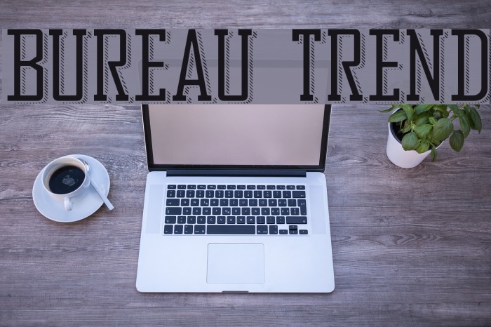 Bureau Trend Font examples