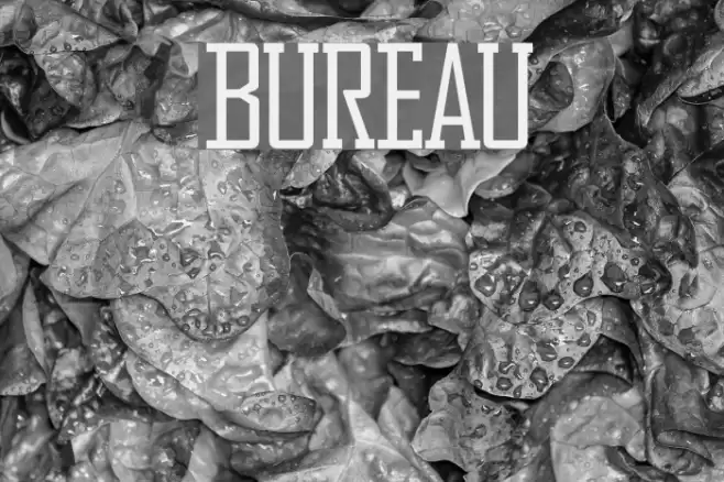 Bureau Font examples