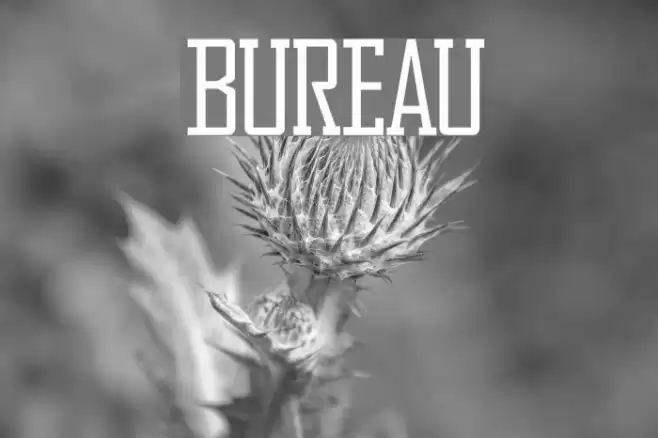Bureau Font examples