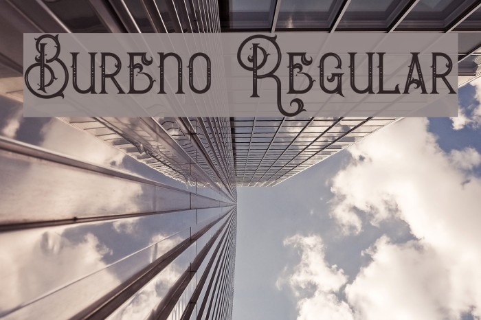 Bureno Regular Example 2