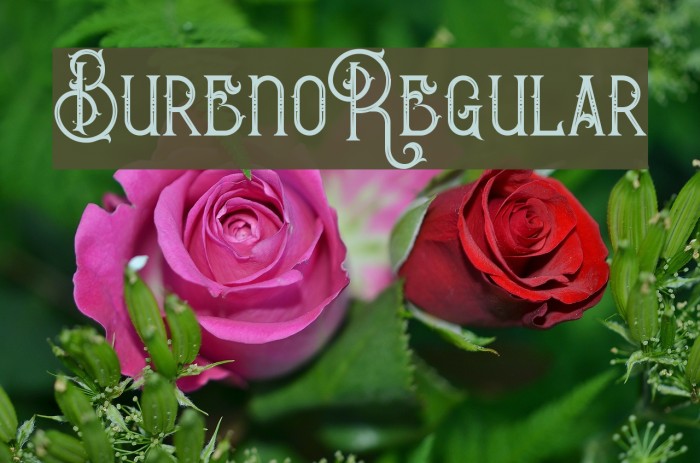 BurenoRegular Example 1