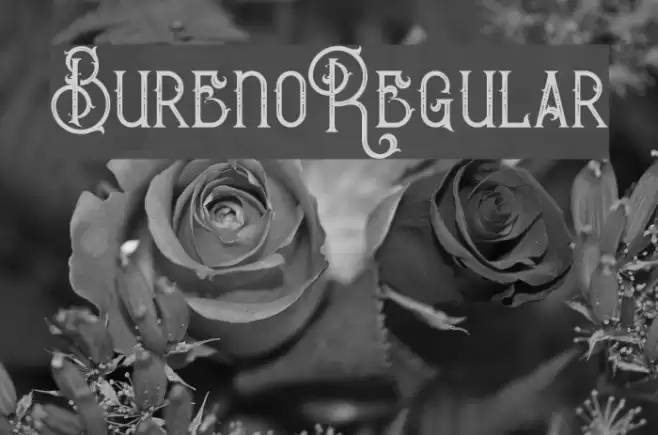BurenoRegular Font examples