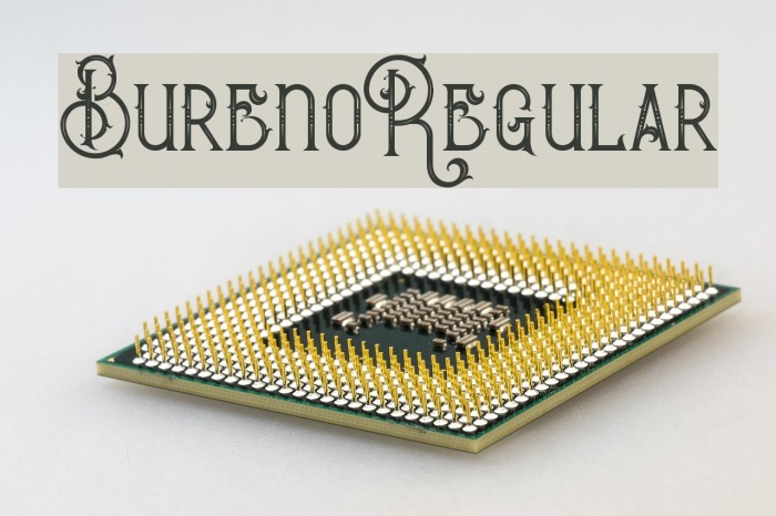 BurenoRegular Example 2