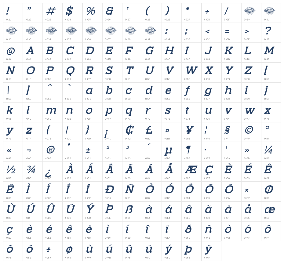 Burgela DEMO VERSION Italic Character Map