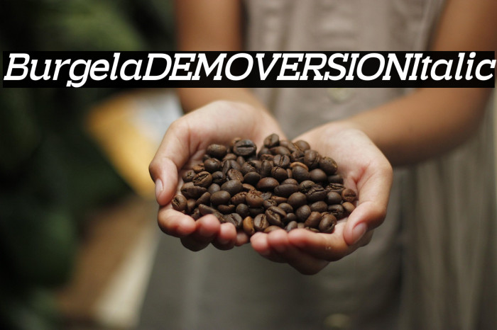 Burgela DEMO VERSION Italic Example 1