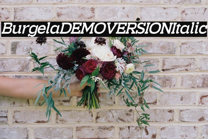 Burgela DEMO VERSION Italic Example 3