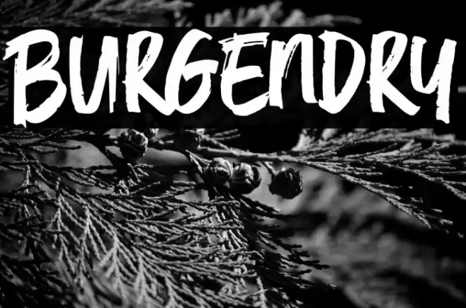 Burgendry Font examples
