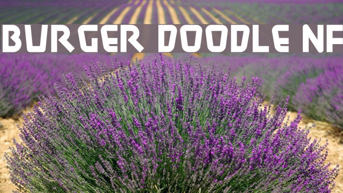 Burger Doodle NF Example 1