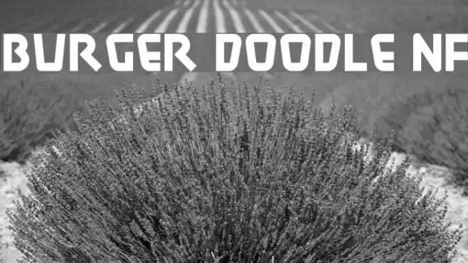 Burger Doodle NF Font examples