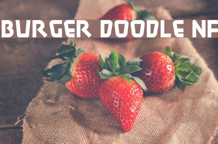 Burger Doodle NF Example 3