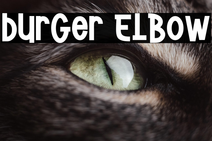 Burger Elbow Example 1