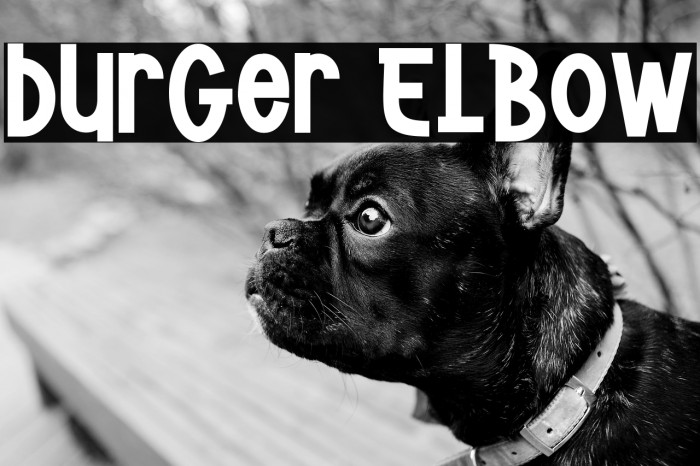 Burger Elbow Example 2