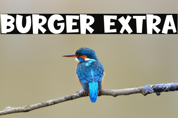 Burger Extra Example 2