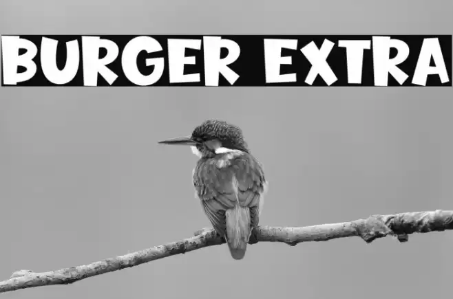 Burger Extra Font examples