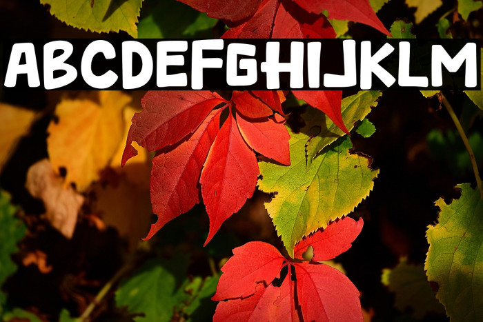 Burger Free Example 2