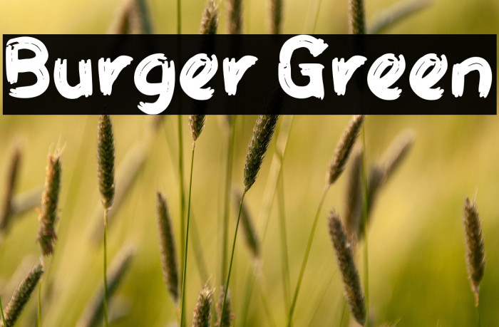 Burger Green Example 1