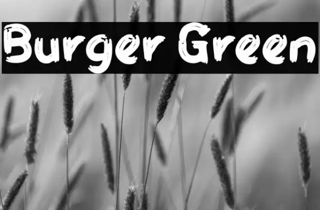 Burger Green Font examples