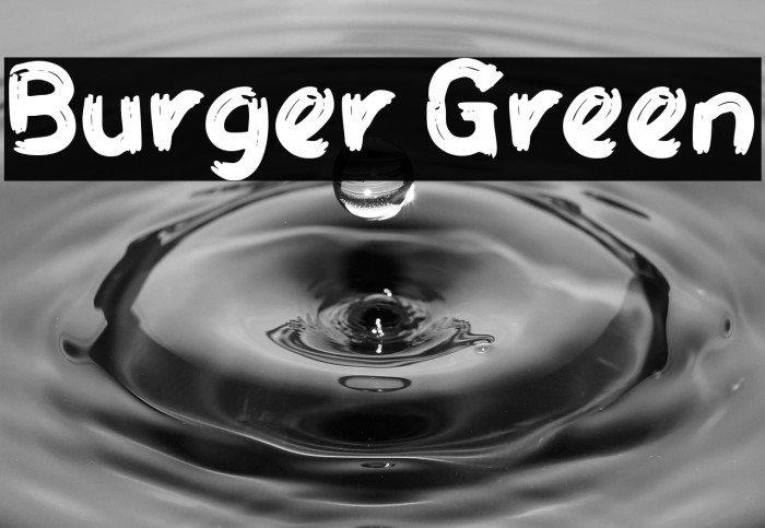 Burger Green Example 2