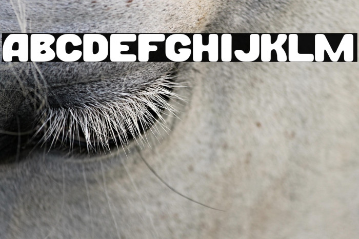 Burger+Nation Example 2