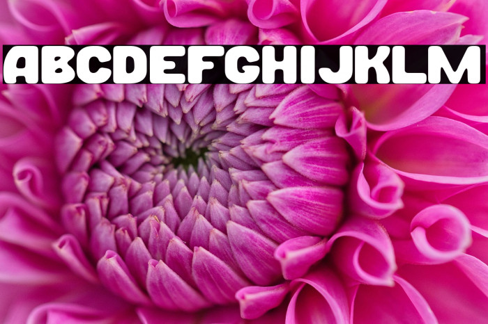 Burger+Nation Example 3