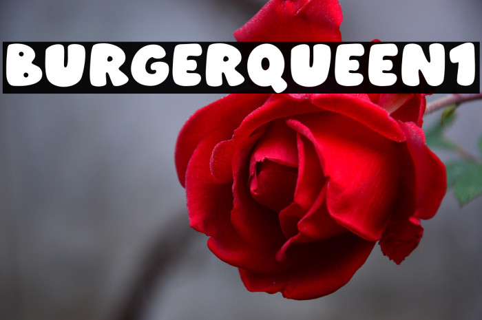Burger Queen1 Example 2
