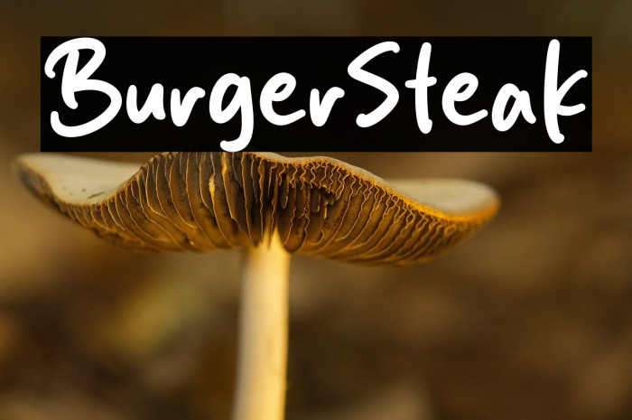 Burger Steak Example 2