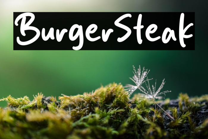 Burger Steak Example 3