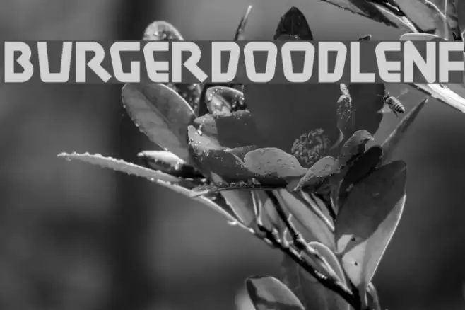 BurgerDoodleNF Font examples