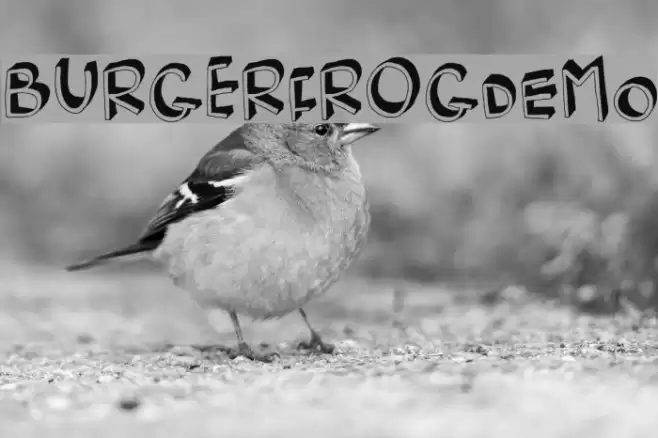 BurgerFrogDEMO Font examples
