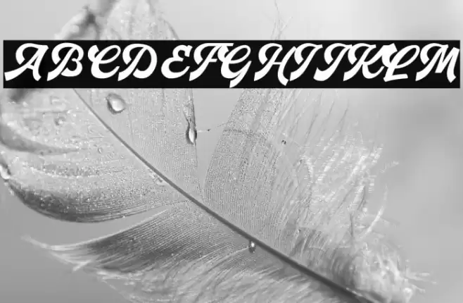 Burgerbar FREE PERSONAL USED Font examples