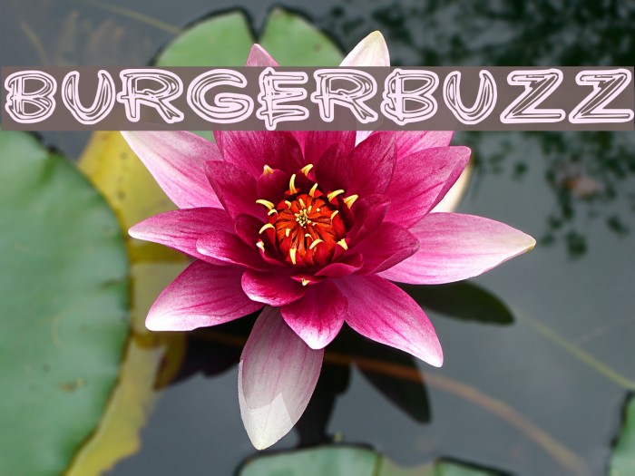 Burgerbuzz Font examples