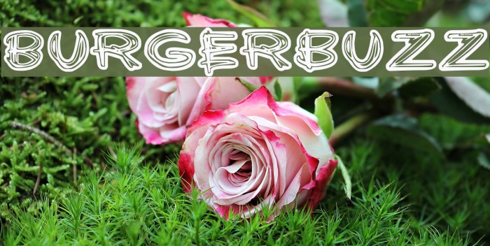 Burgerbuzz لخطوط تنزيل examples