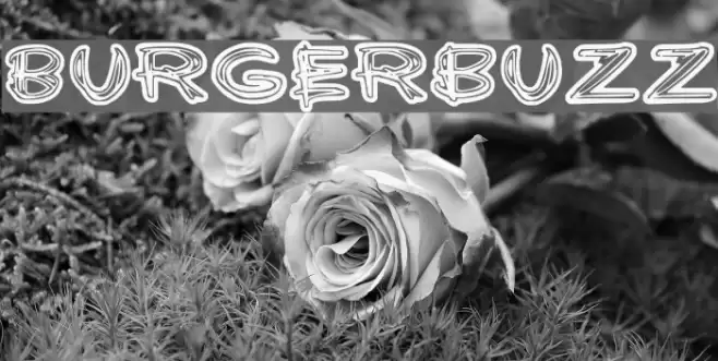 Burgerbuzz Font examples