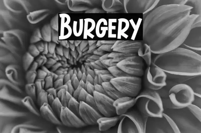 Burgery Font examples