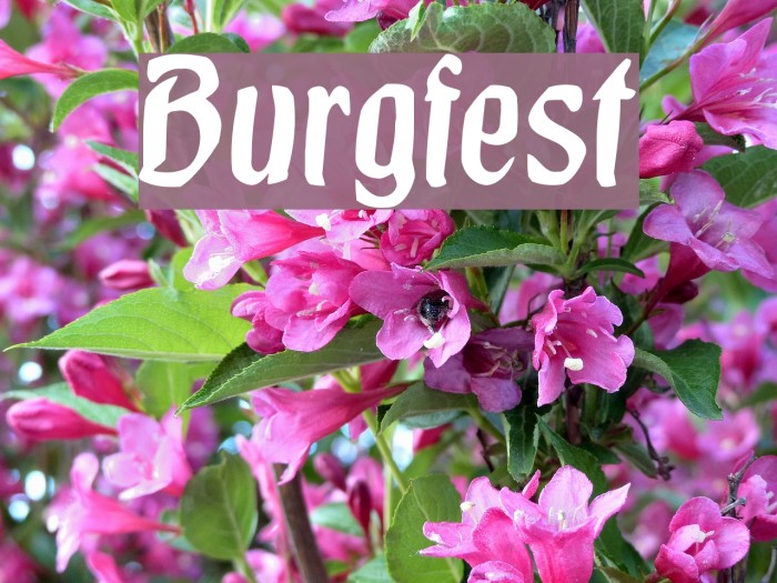 Burgfest Font examples