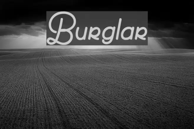 Burglar Example 1