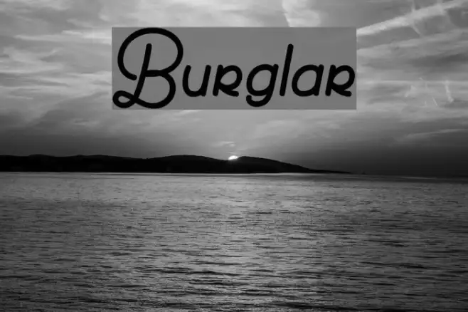 Burglar Example 2