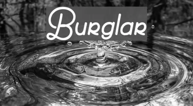 Burglar Example 3