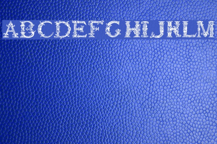 Burgoyne_Initials Font examples