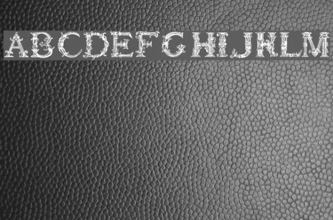 Burgoyne_Initials Fonte examples