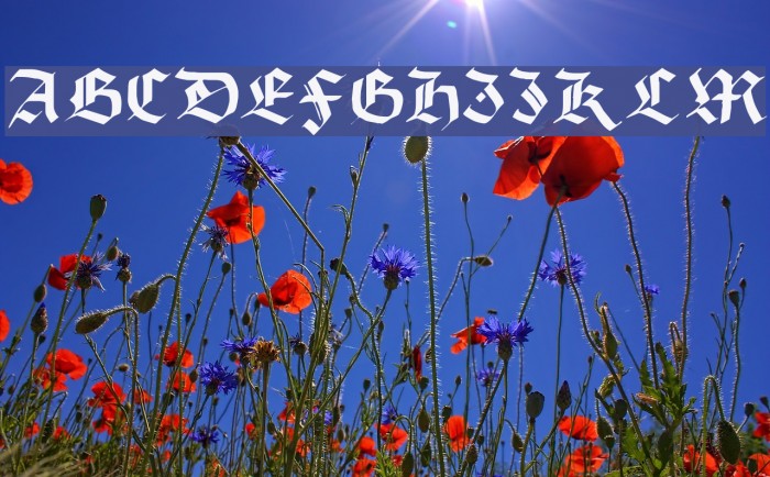 Burgundian Font examples