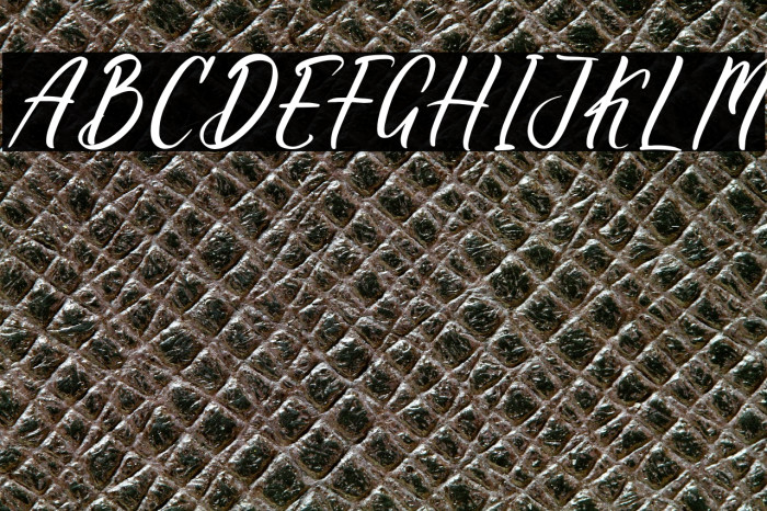 Burgundy Deception DEMO VERSION Example 2