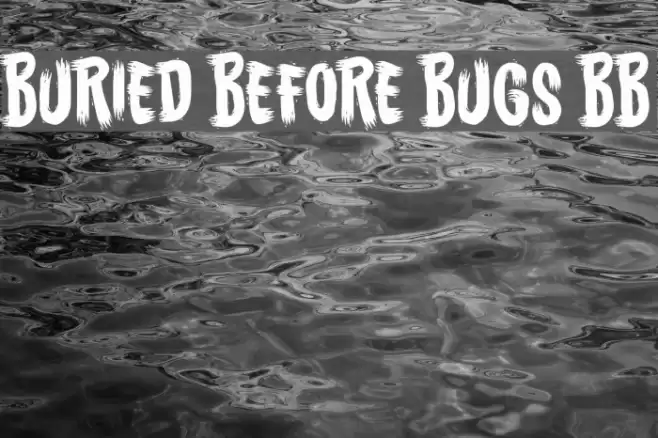 Buried Before Bugs BB Font examples