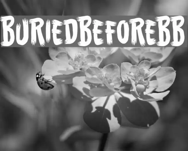 BuriedBeforeBB Font examples